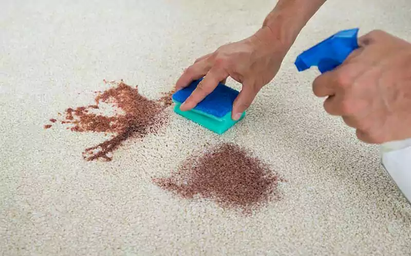 لکه شیرکاکائو روی فرش